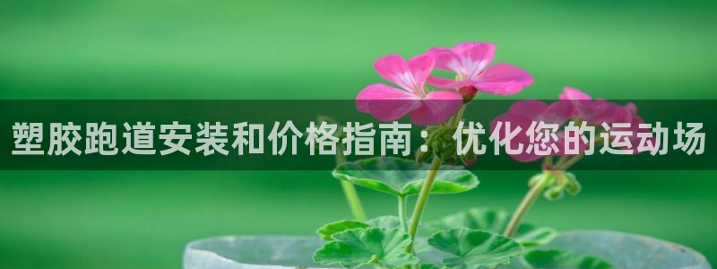 尊龙凯时z6官网：塑胶跑道安装和价格指南：优化您的运