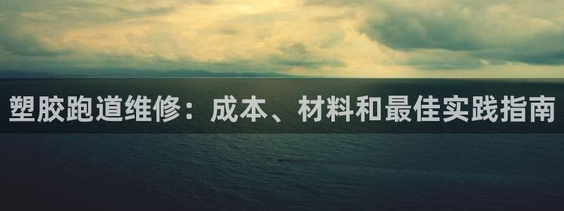 尊龙官方网站最新版V9.3.06介绍：塑胶跑道维修：成本、材料和最佳实践指南