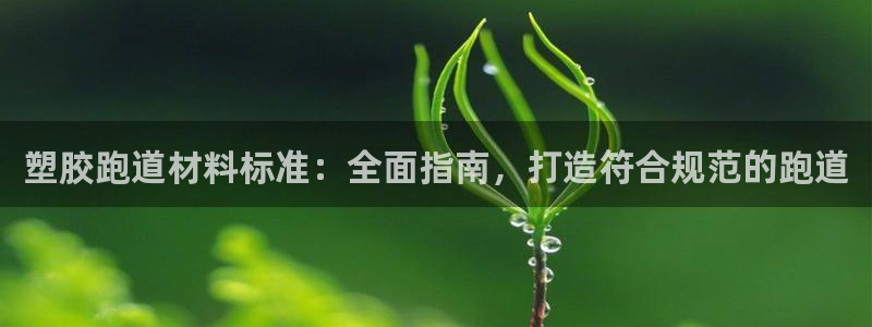 凯时K66最新版本下载：塑胶跑道材料标准：全面指南，打造符合规范的跑道