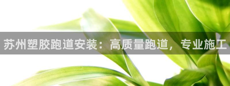 z6尊龙凯时官方：苏州塑胶跑道安装：高质量跑道，专业施工