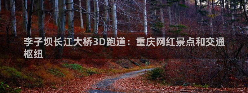 尊龙 中国：李子坝长江大桥3D跑道：重庆网红景点和交