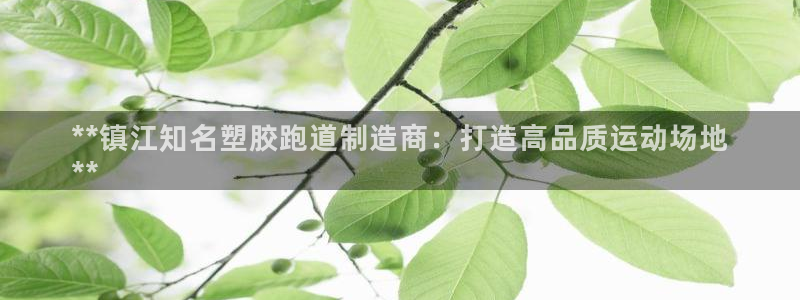 尊龙人生就是博d88官方网站：**镇江知名塑胶跑道制造商：打造高品质运动场地
**