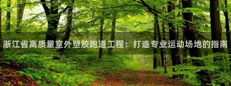 尊龙旗舰厅app：浙江省高质量室外塑胶跑道工程：打造专业运动
