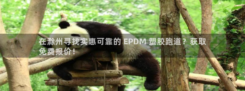 尊龙凯时人生就是搏客户：在滁州寻找实惠可靠的 EPD