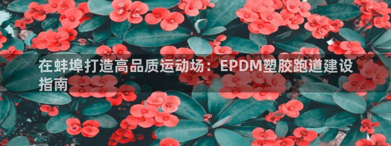 尊龙凯时取钱很慢：在蚌埠打造高品质运动场：EPDM塑胶跑道建设
指南