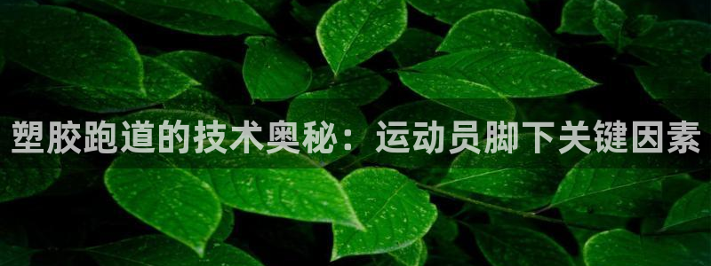 尊龙人生就是博登录：塑胶跑道的技术奥秘：运动员脚下关