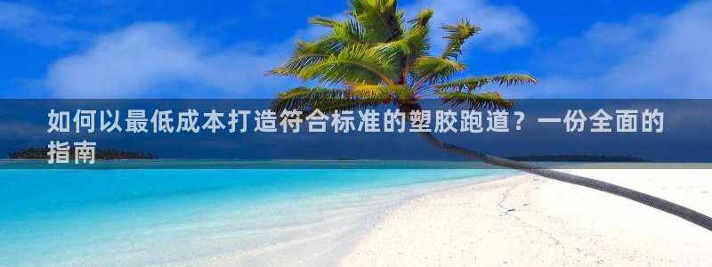 尊龙官网免费下载安卓：如何以最低成本打造符合标准的塑胶跑道？一份全面的
指南