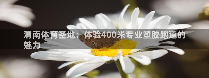 尊龙登录首页：渭南体育圣地：体验400米专业塑胶跑道的
魅力