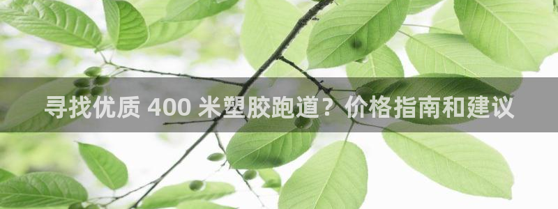 有人在凯时赢过钱吗：寻找优质 400 米塑胶跑道？价格指南和建议