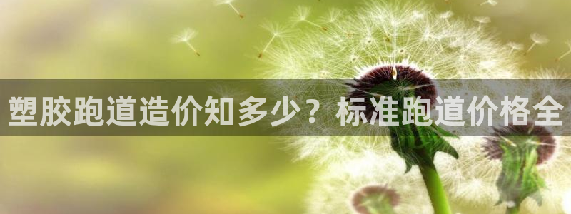 凯时官网的售后服务：塑胶跑道造价知多少？标准跑道价格全