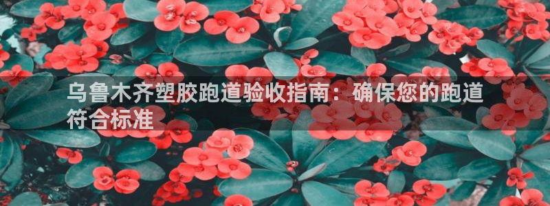 尊龙凯时官网入口：乌鲁木齐塑胶跑道验收指南：确保您的