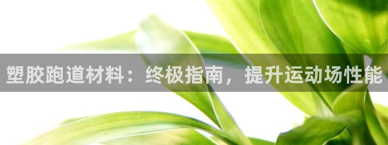 尊龙官网：塑胶跑道材料：终极指南，提升运动场性能