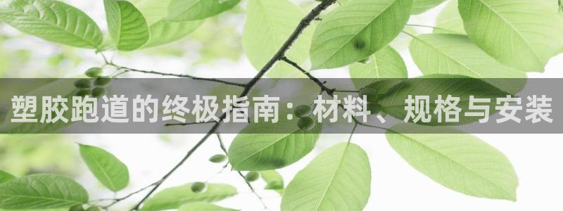 凯时K8国际：塑胶跑道的终极指南：材料、规格与安装