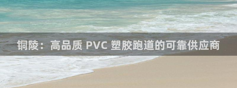 尊龙d88ag旗舰厅：铜陵：高品质 PVC 塑胶跑道的可靠供应商